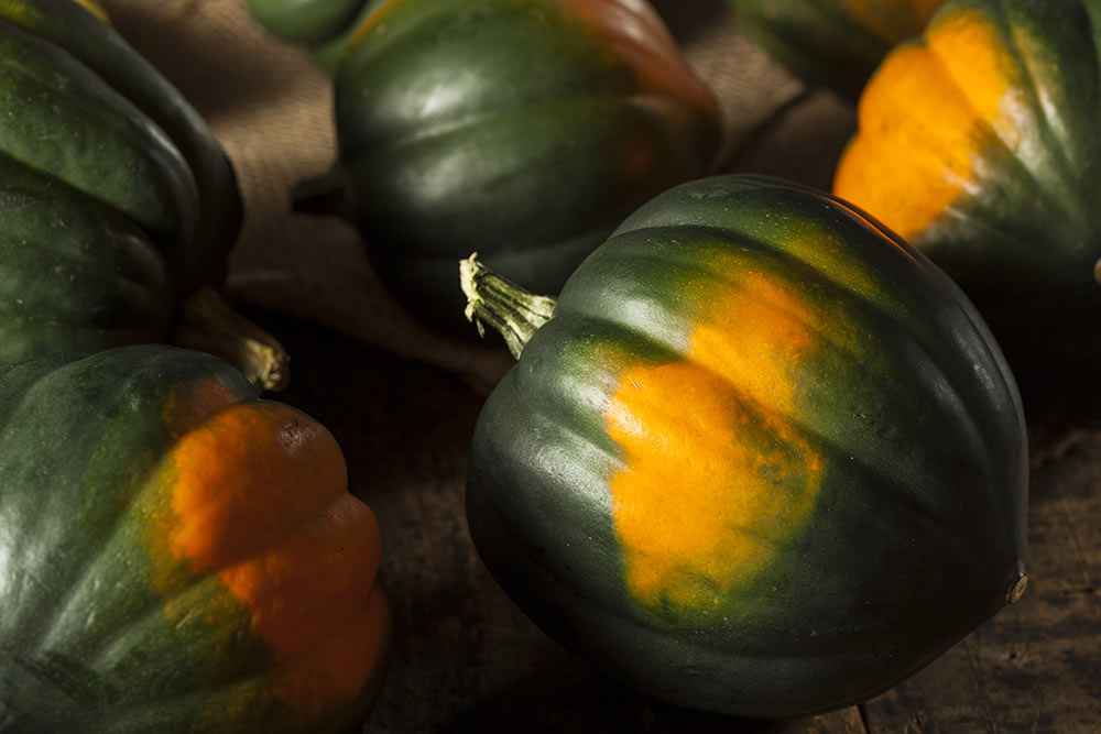 Acorn Squash